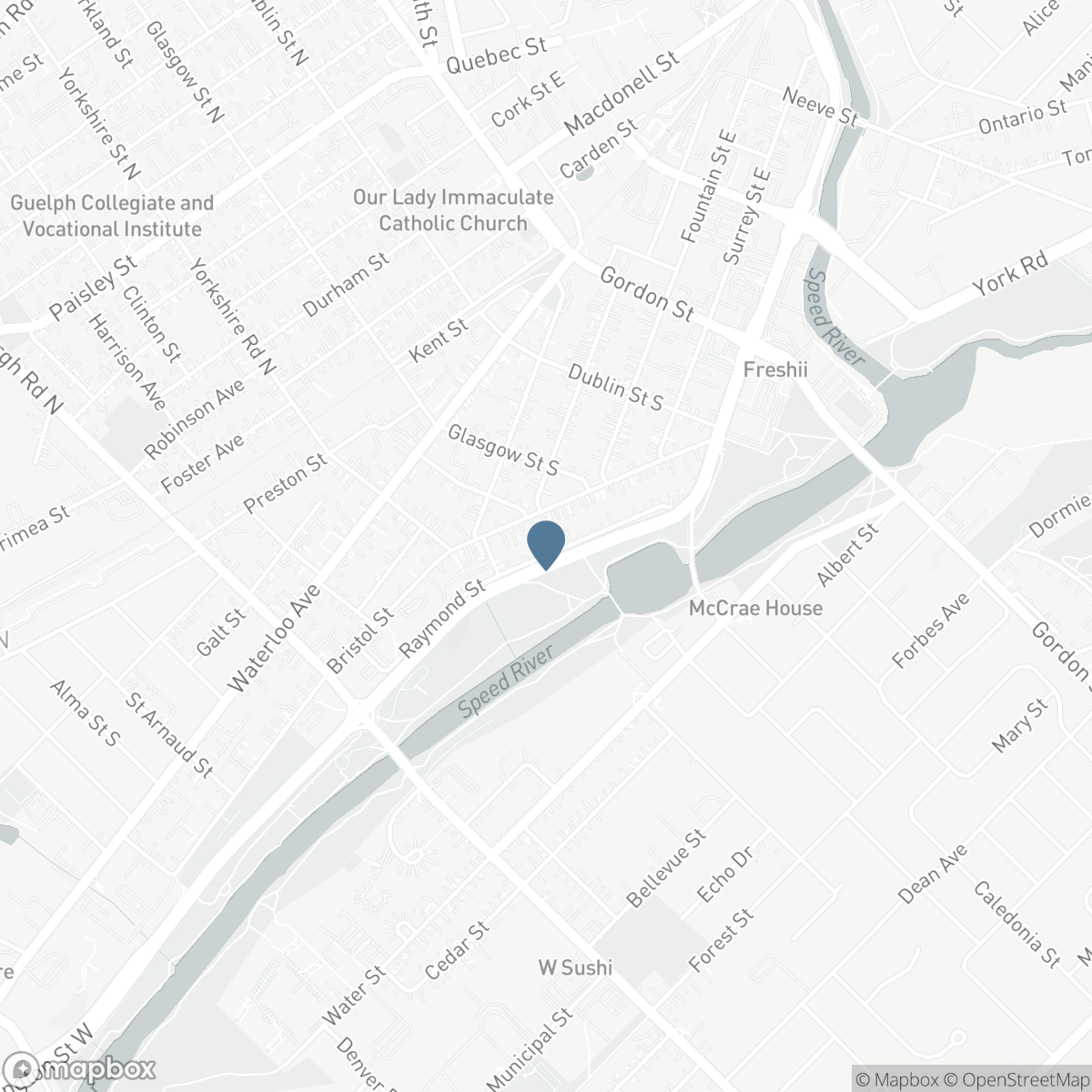 67A RAYMOND Street, Guelph, Ontario N1H 3S4